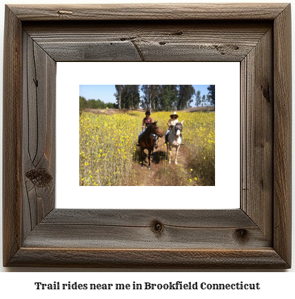 trail rides near me in Brookfield, Connecticut